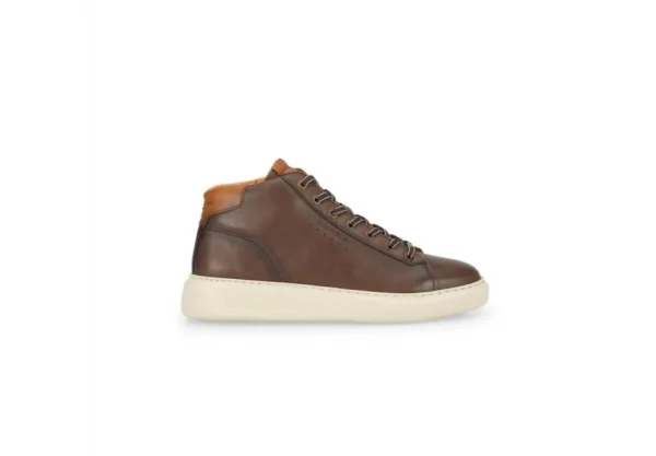 Uomo Ambitious Sneaker Alta Da Uomo 13019-7129 Brown